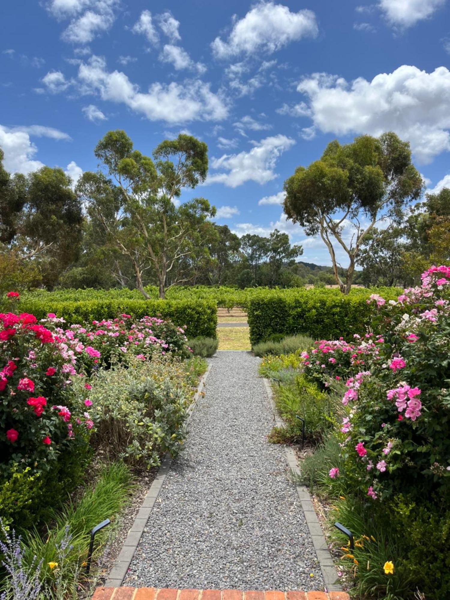 Oxenberry Farm Villa Mclaren Vale Eksteriør bilde