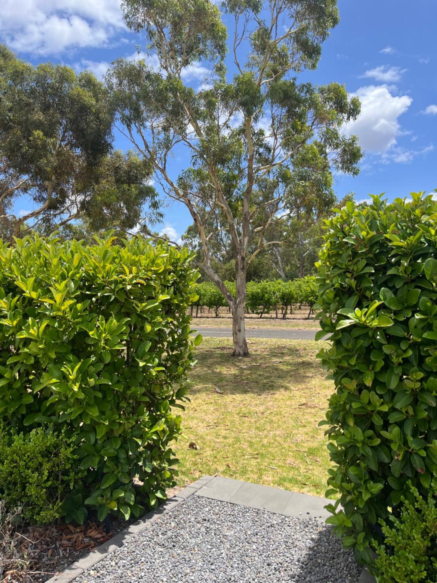 Oxenberry Farm Villa Mclaren Vale Eksteriør bilde